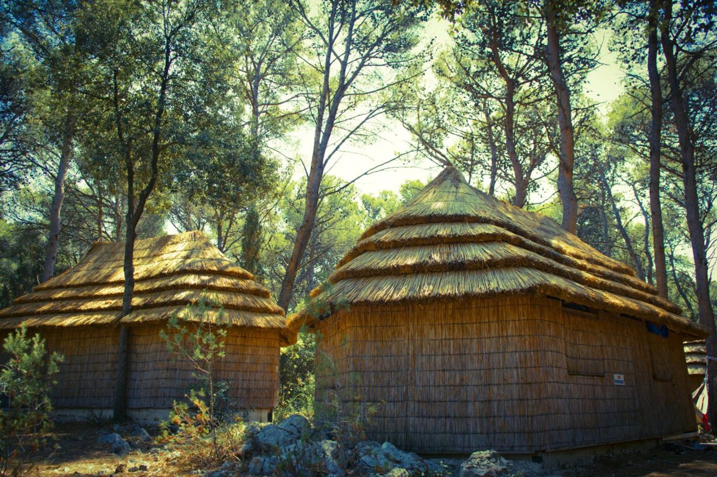 Pine Beach Pakostane