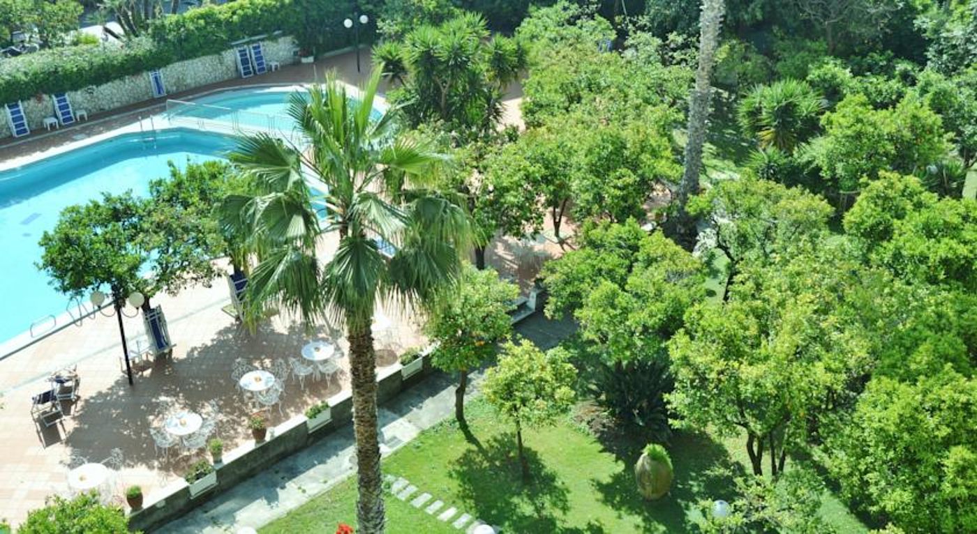 Carlton International