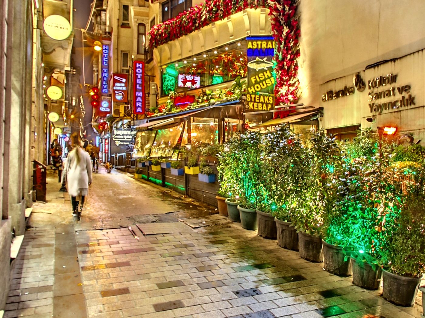 Mara Istanbul-Turkey-Istanbul-General view-4