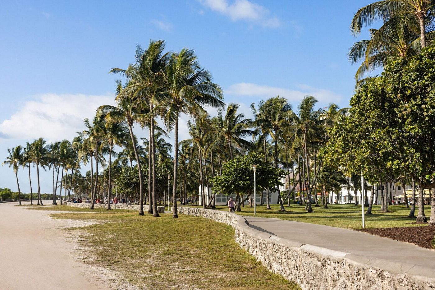 Waldorf Towers Hotel - United States - MIAMI BEACH - General view - 7