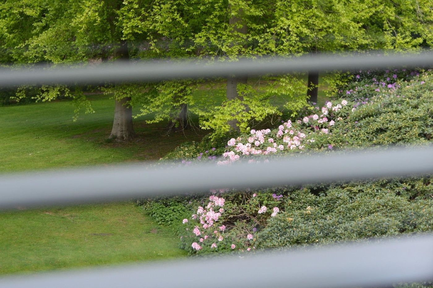 Woudschoten Hotel & Conferentiecentrum-Netherlands-ZEIST-Room-9