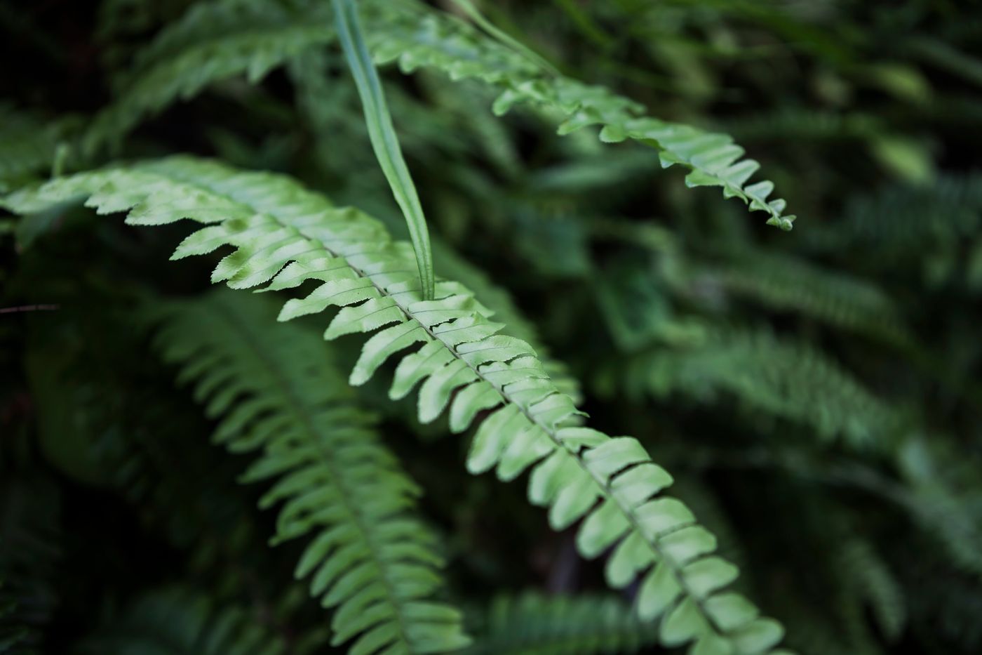 Rex Hotel Saigon-Vietnam-Ho Chi Minh City-General view-2