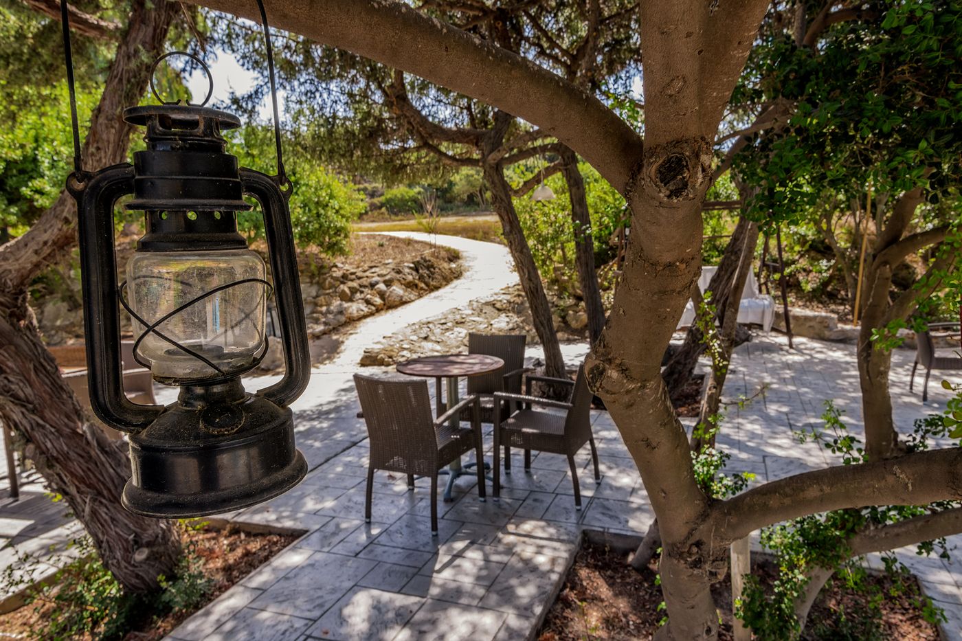 The-Small-Village-Sports-and-Entertainment-22