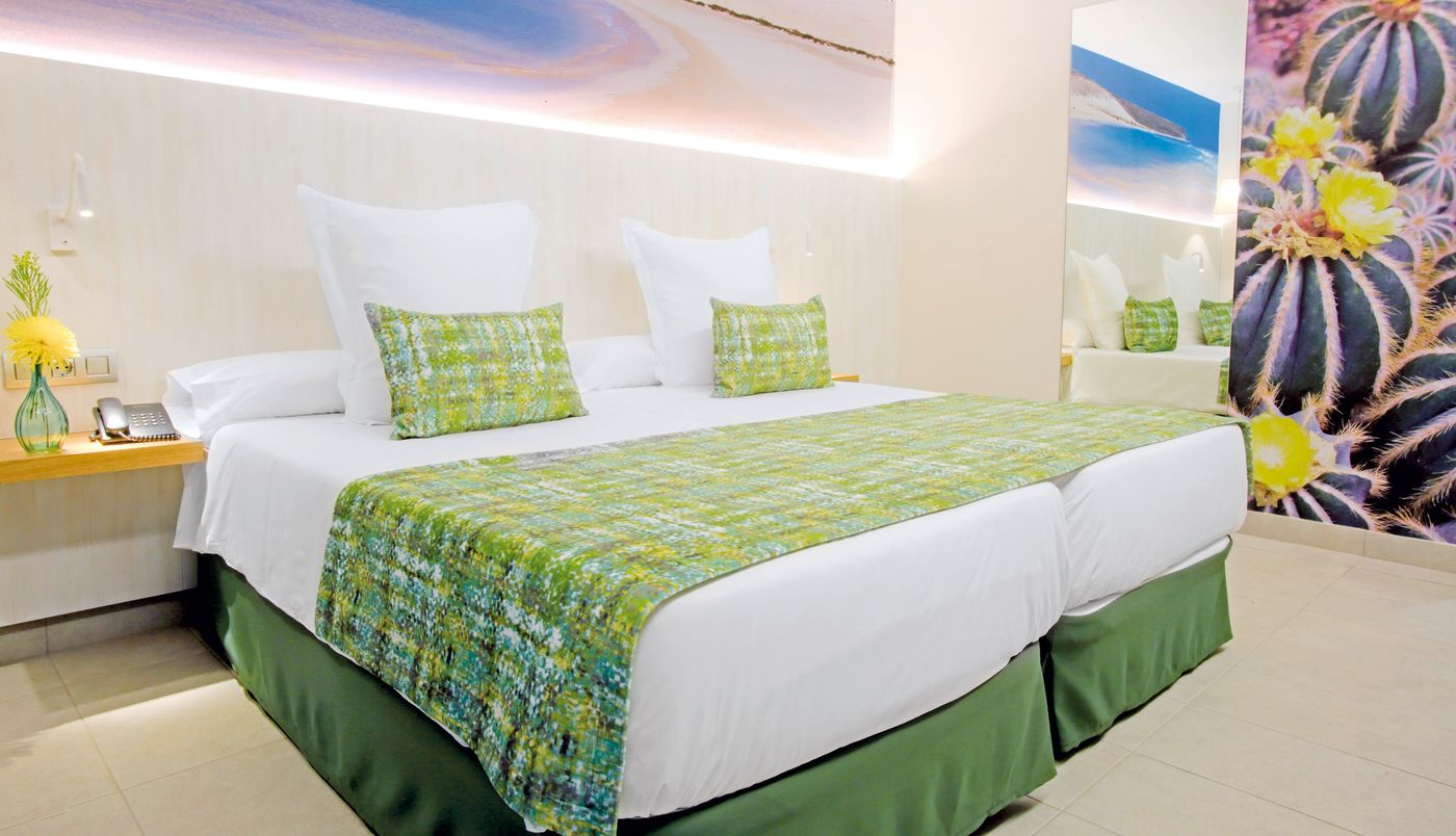 Lemon & Soul Cactus Garden