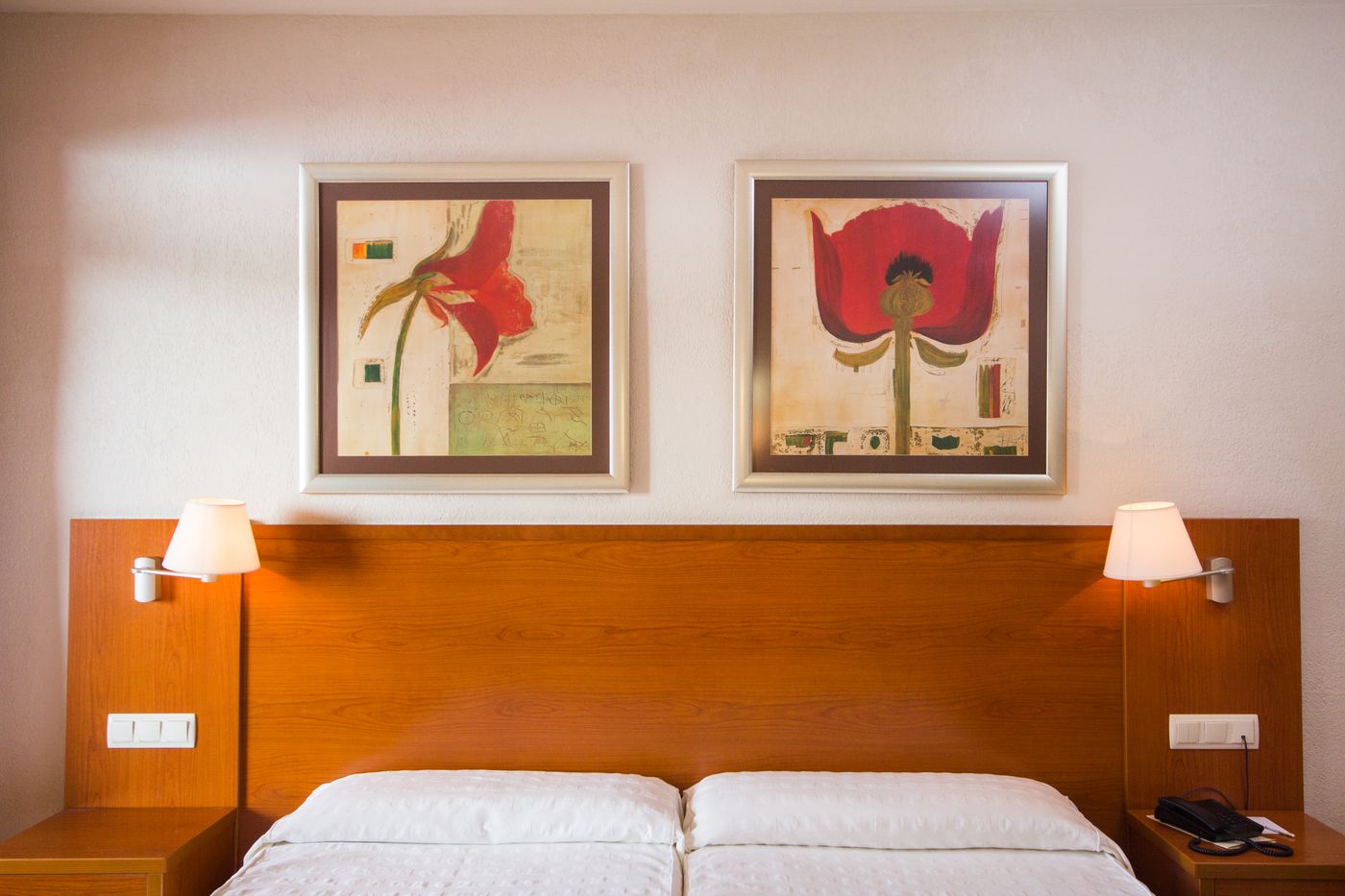 Las-Palmeras-Room-28