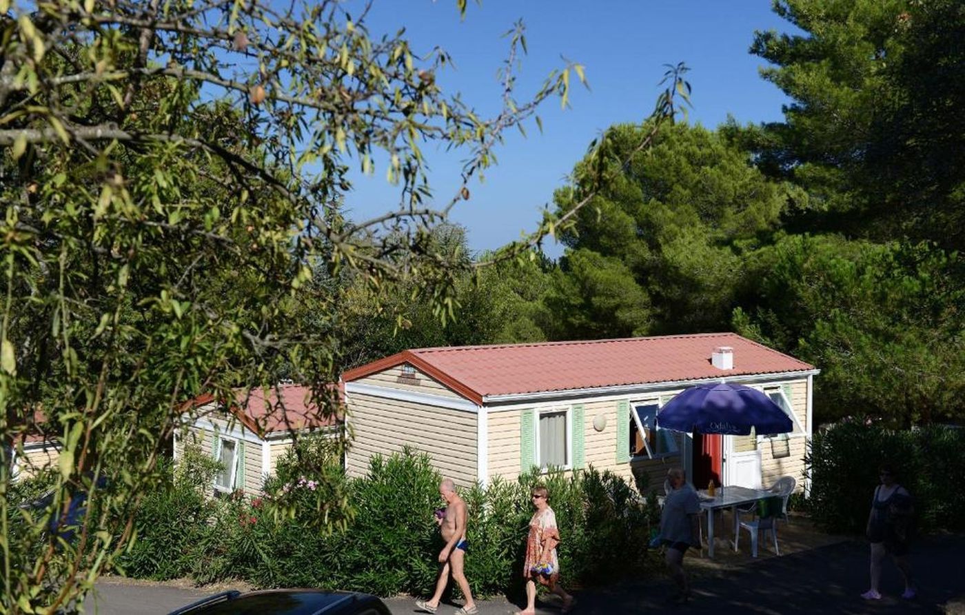 Domaine de Plein Air Odalys La Pinède - France - AGDE - General view - 7