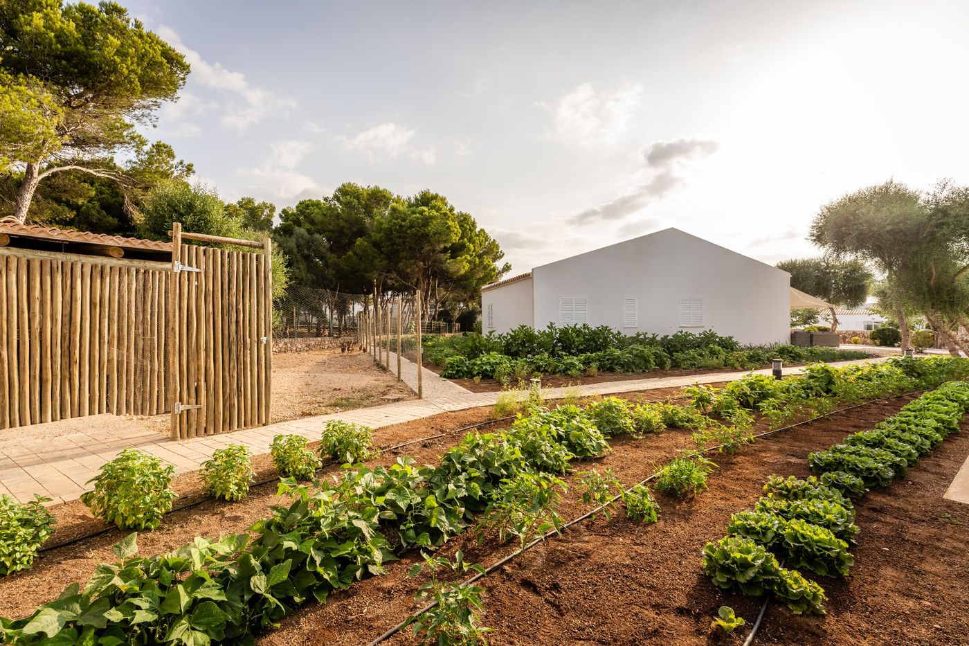 Villas-del-Lago-General-view-17