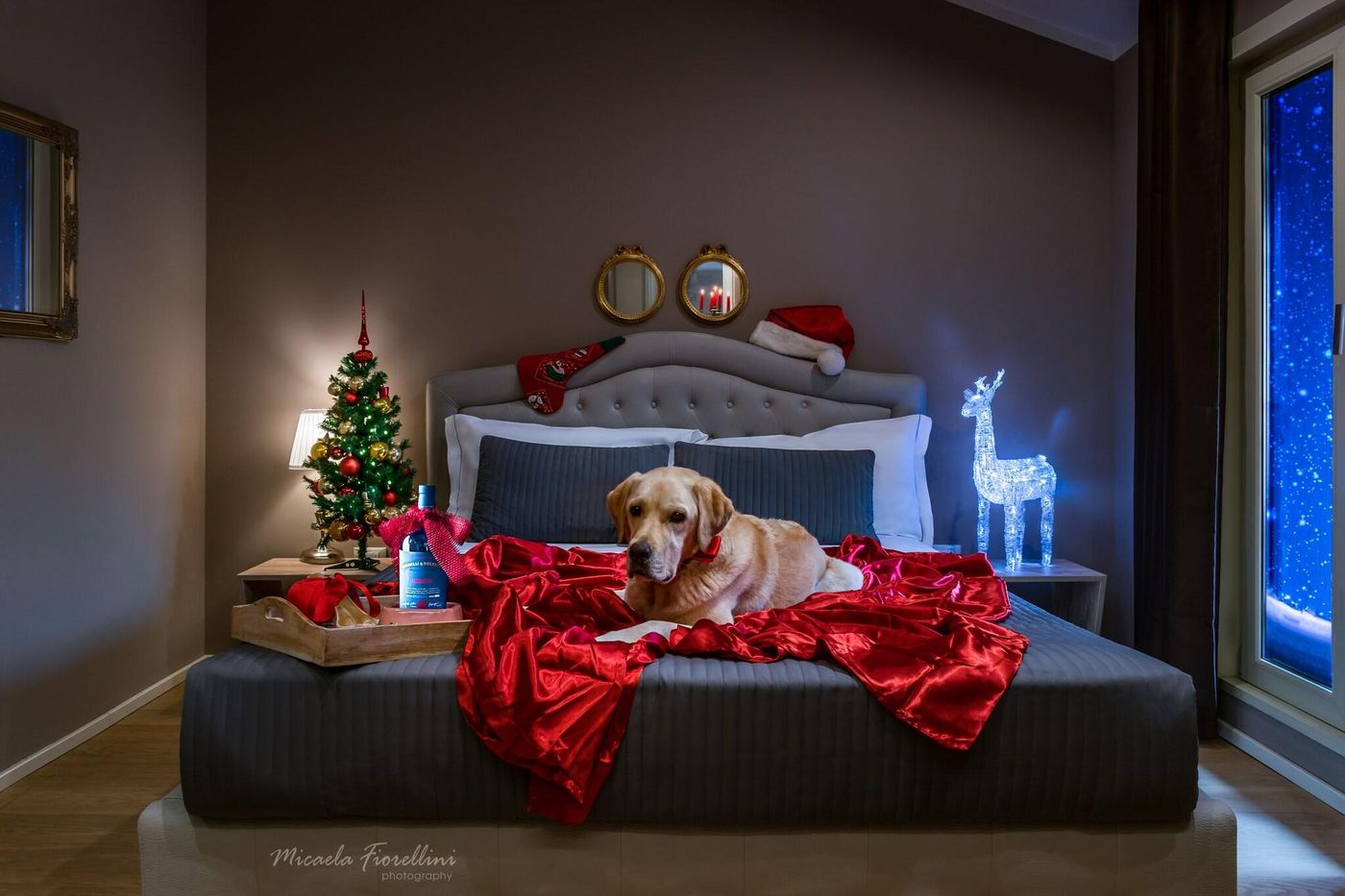 051B Room Breakfast - Italy - Bologna - General view - 8