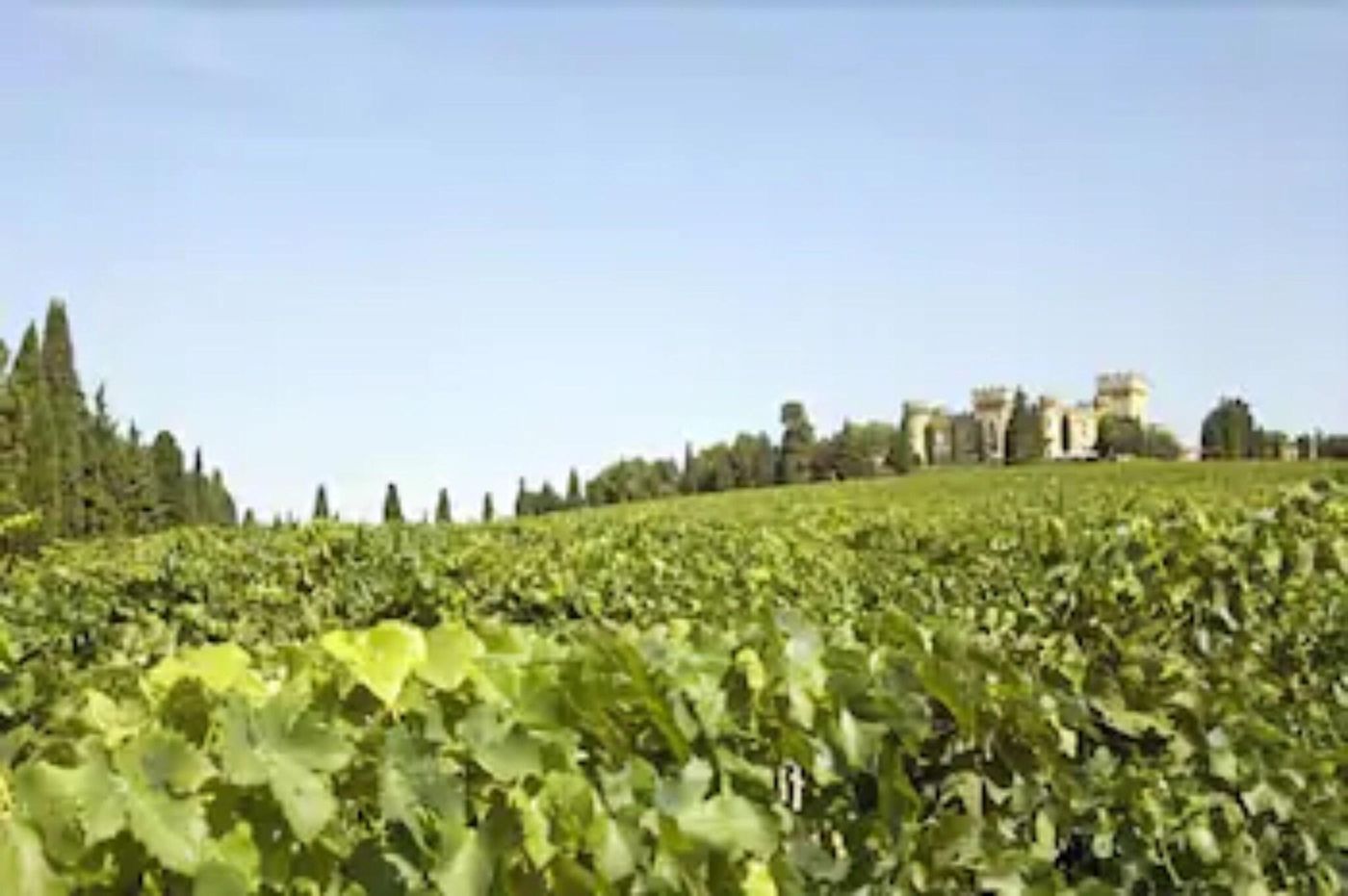 Hostellerie Du Chateau Des Fines Roches-France-CHÂTEAUNEUF-DU-PAPE-General view-2