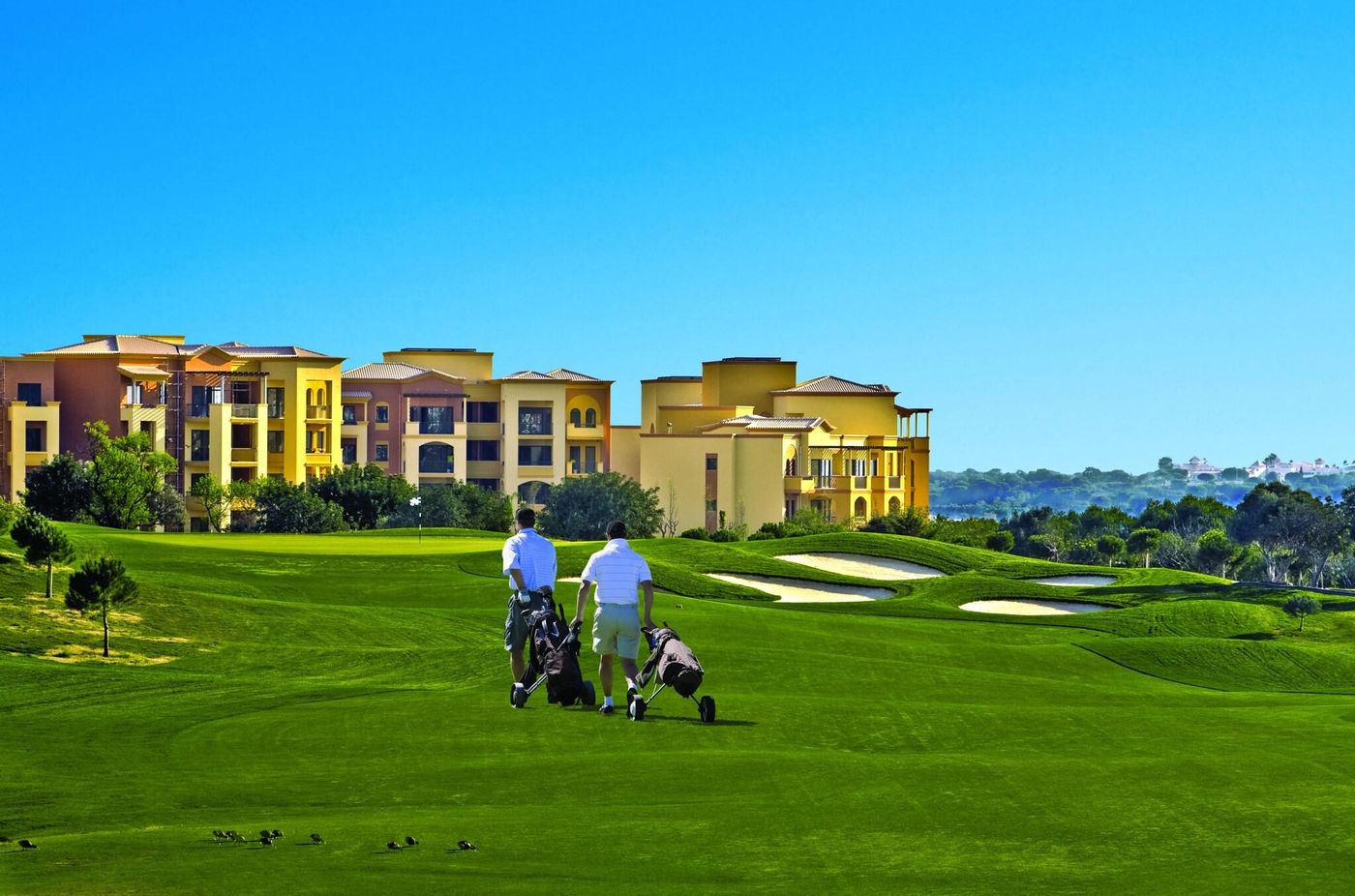 The-Residences-at-Victoria-Sports-and-Entertainment-11