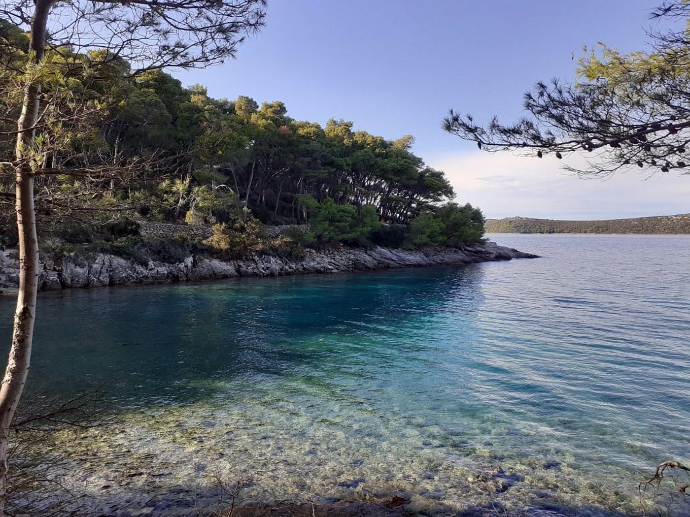 Bozava---Maxim-General-view-21