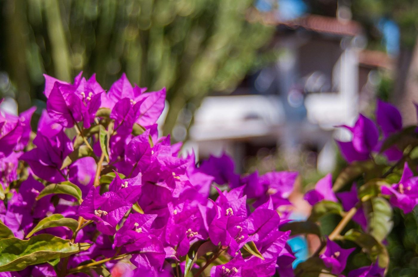 Cormoran-Sports-and-Entertainment-23