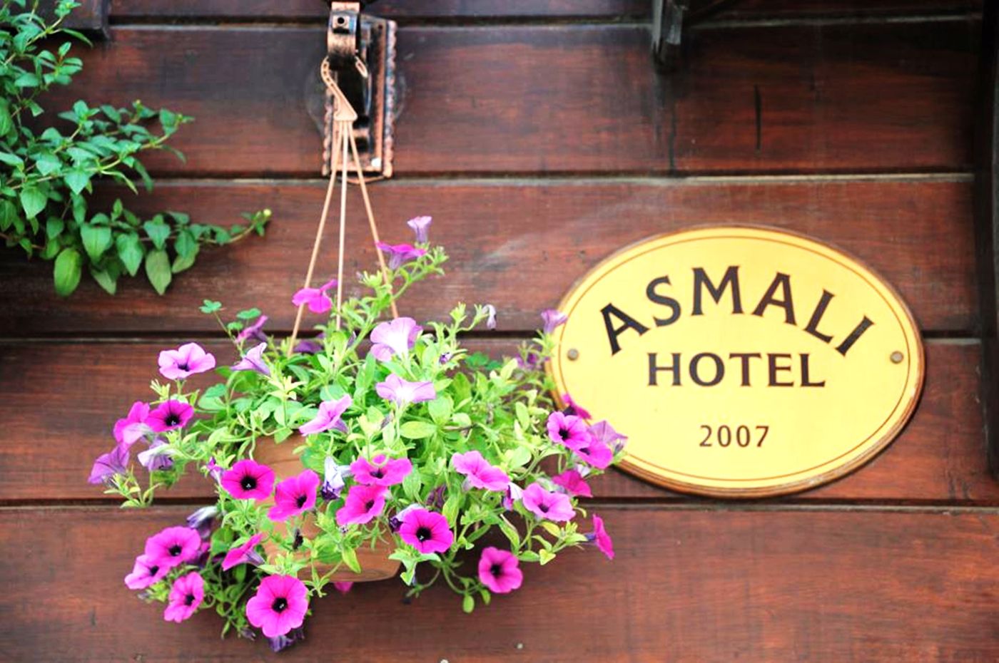 Asmali Hotel Istanbul-Turkey-SULTANAHMET / ISTANBUL-General view-6