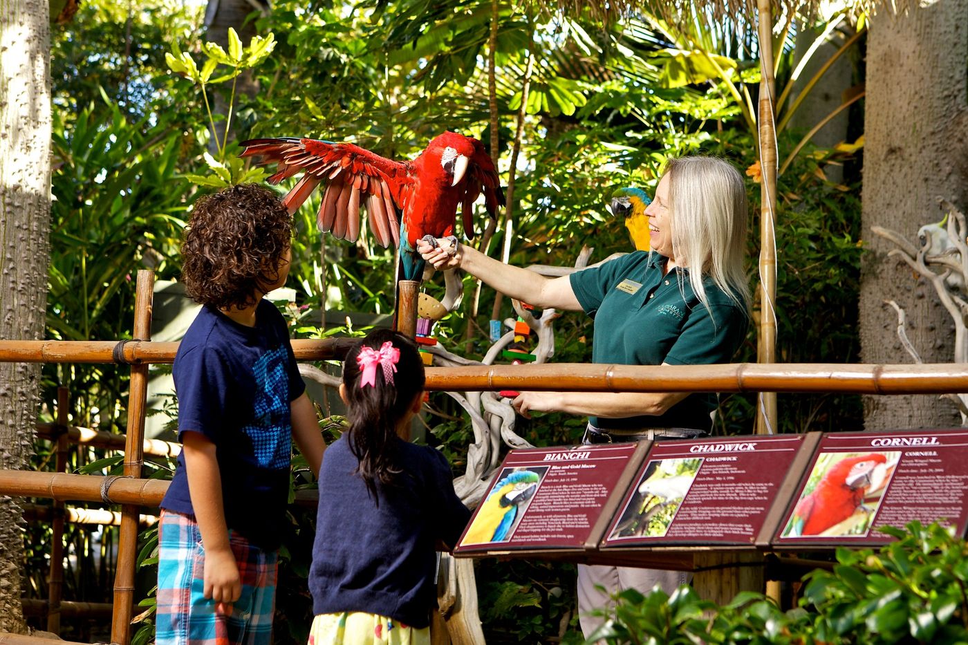 Catamaran Resort - United States - San Diego - General view - 8