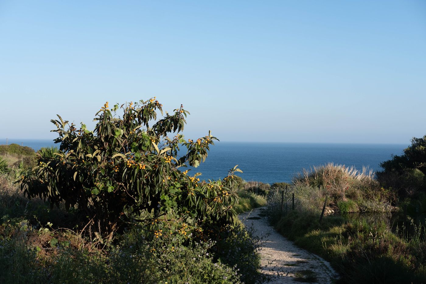 Quinta-do-Mar-da-Luz-General-view-56