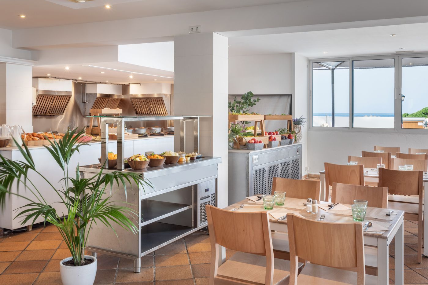 New - Sol Milanos-Pinguinos