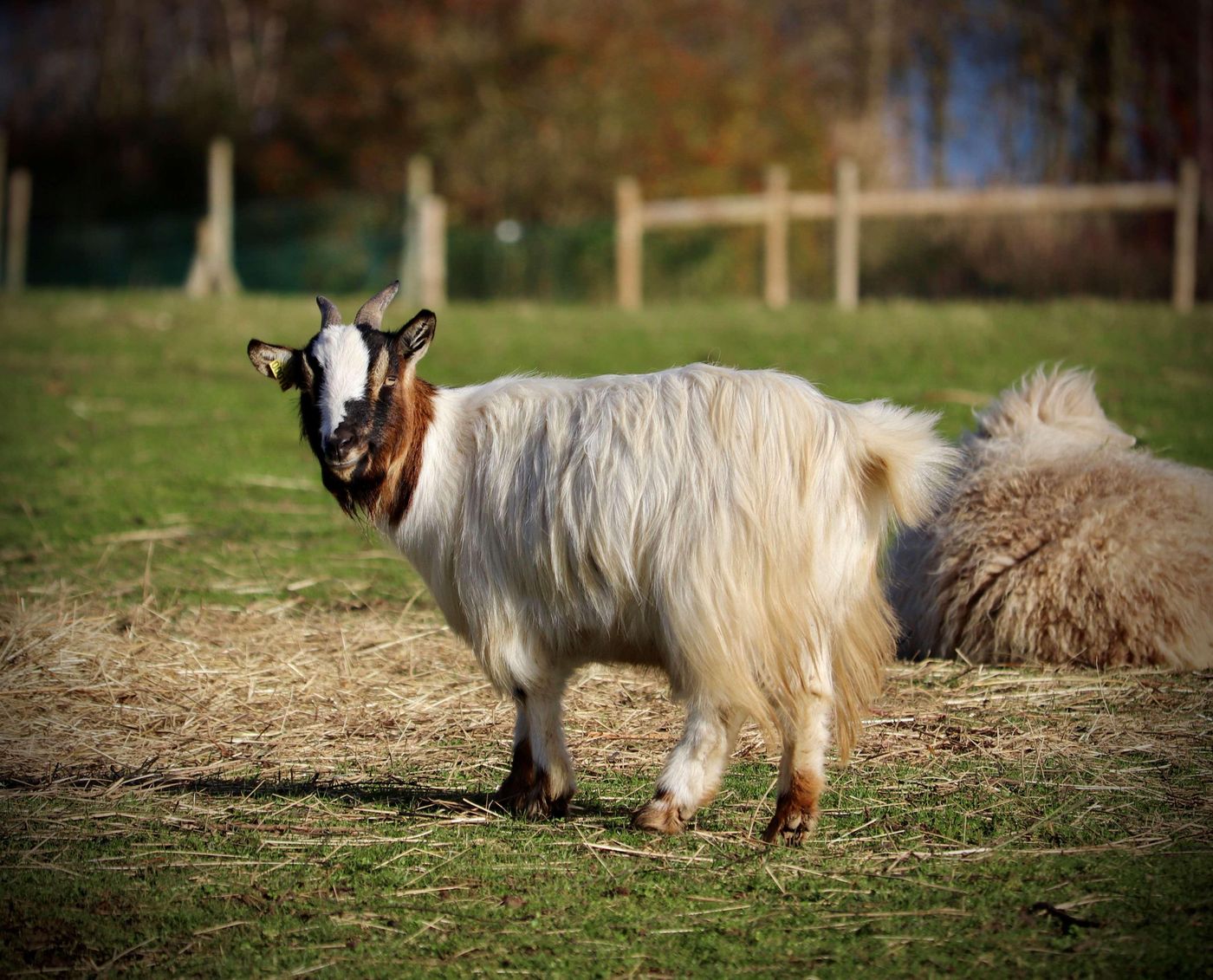 Campanile-Val-de-France-Ex-Kyriad-Disneyland-General-view-53
