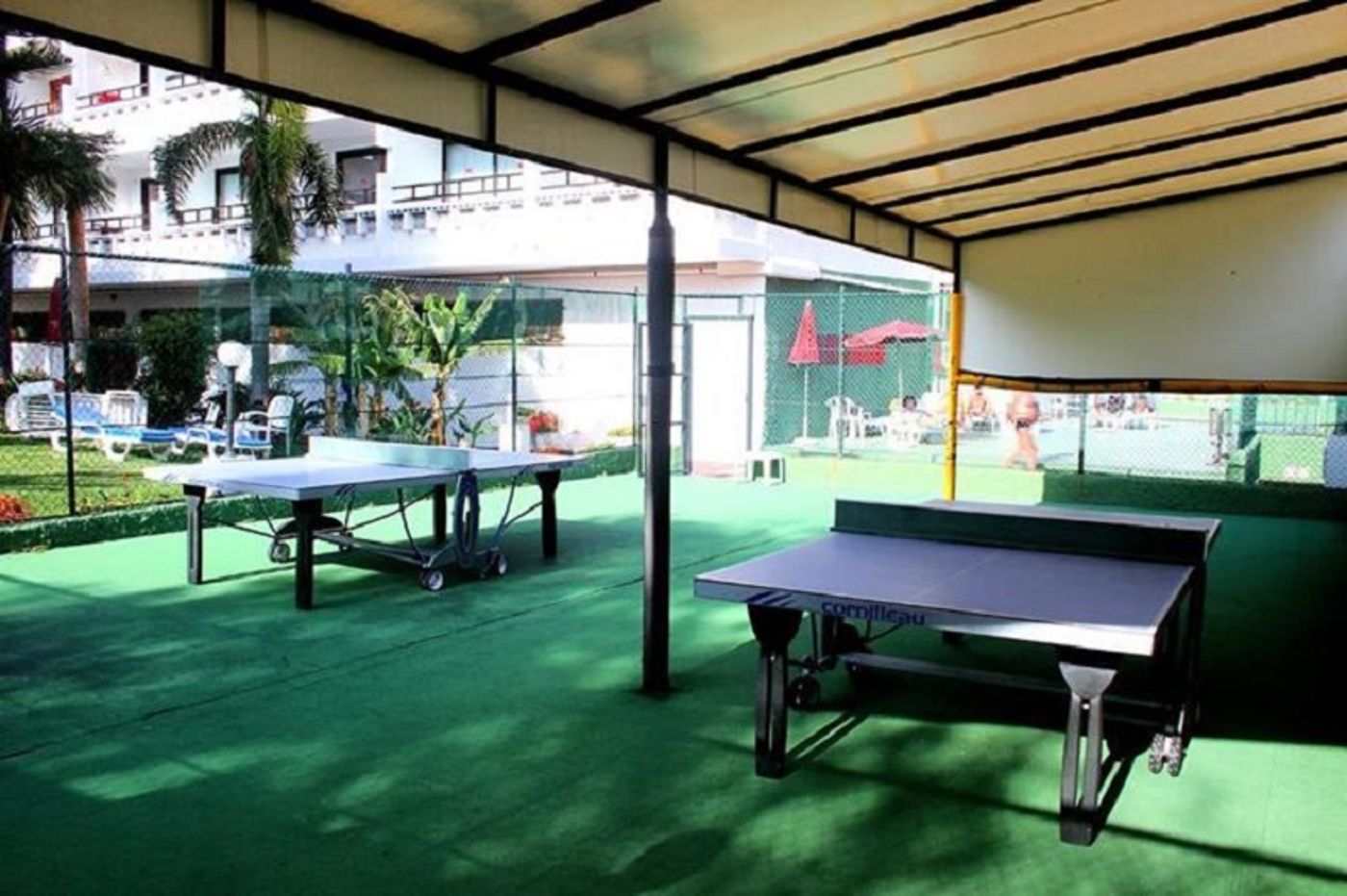 Masaru-Sports-and-Entertainment-23