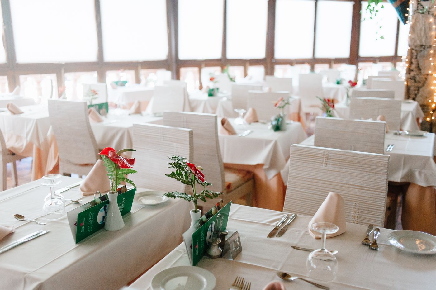 Parque-Tropical-Restaurant-33