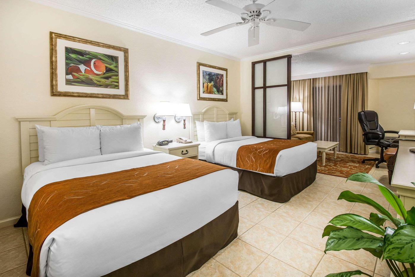 Comfort-Suites-Paradise-Island-Room-21