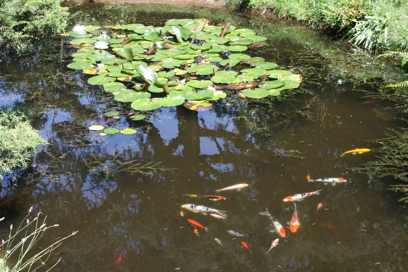 Ra Sid Spa Loire Sa Vre-France-Nantes-General view-7