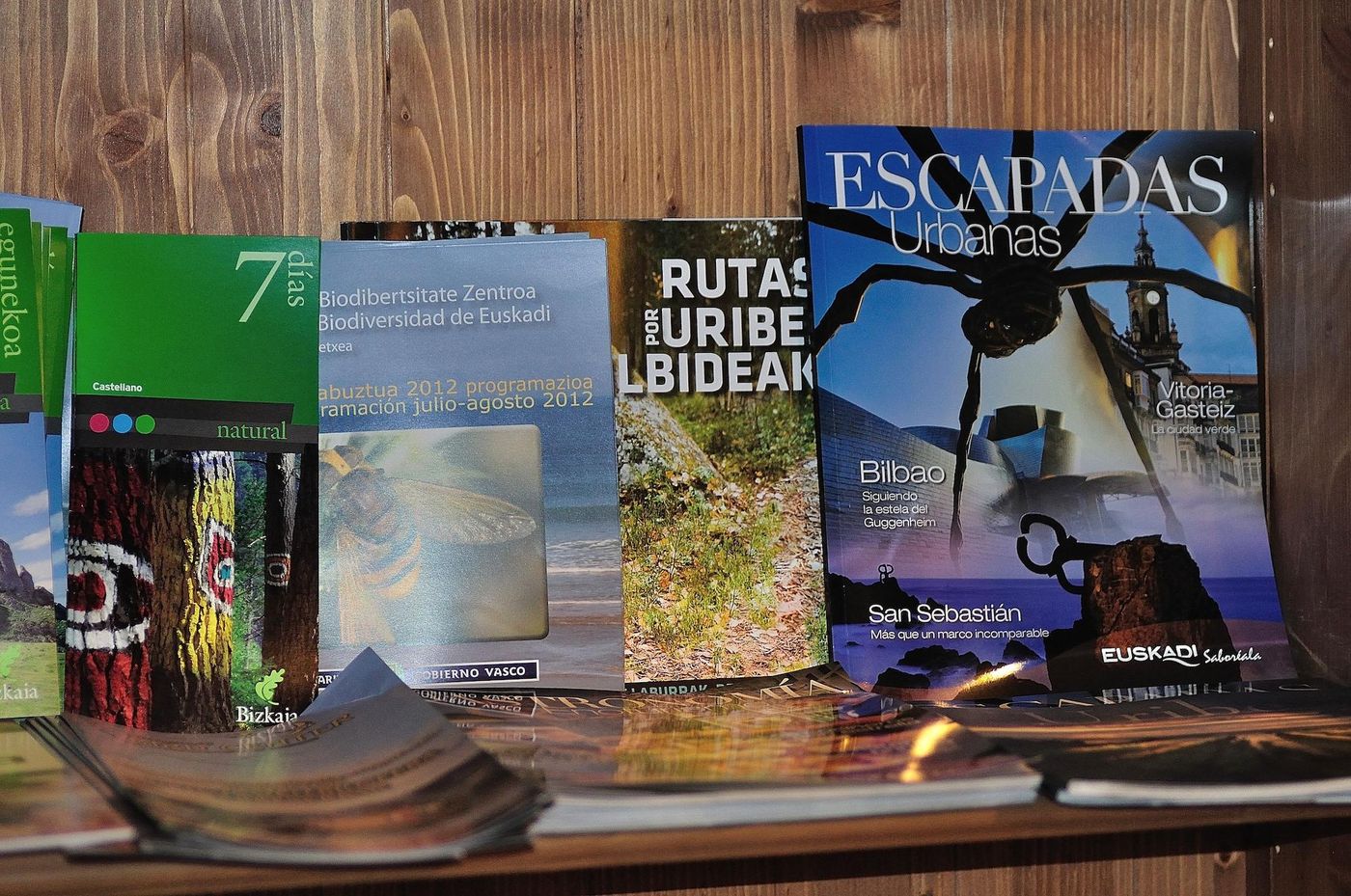 Agroturismo Iabiti-Aurrekoa-Spain-ZAMUDIO-General view-2