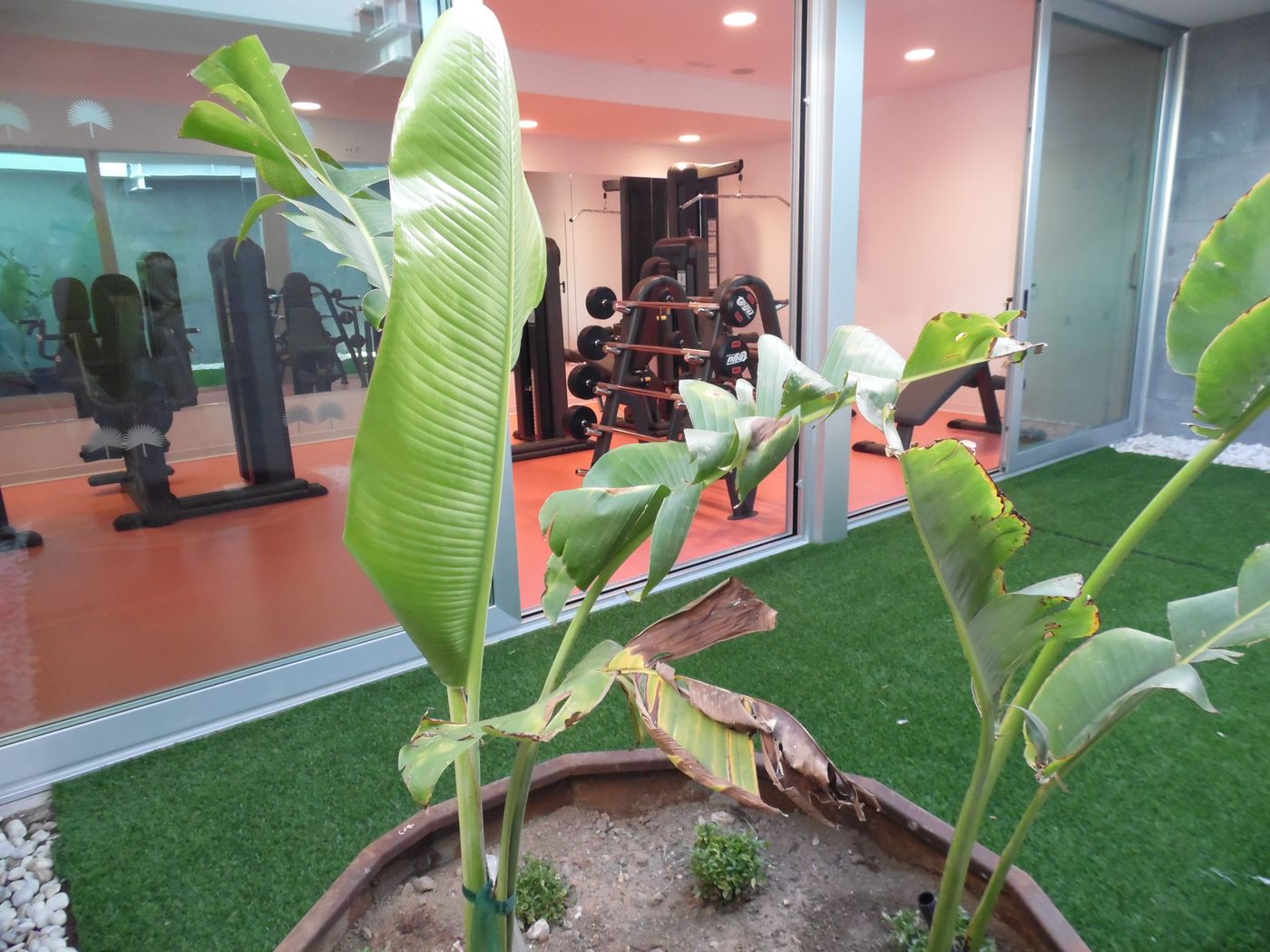 Nayra---Adults-Only-Sports-and-Entertainment-27