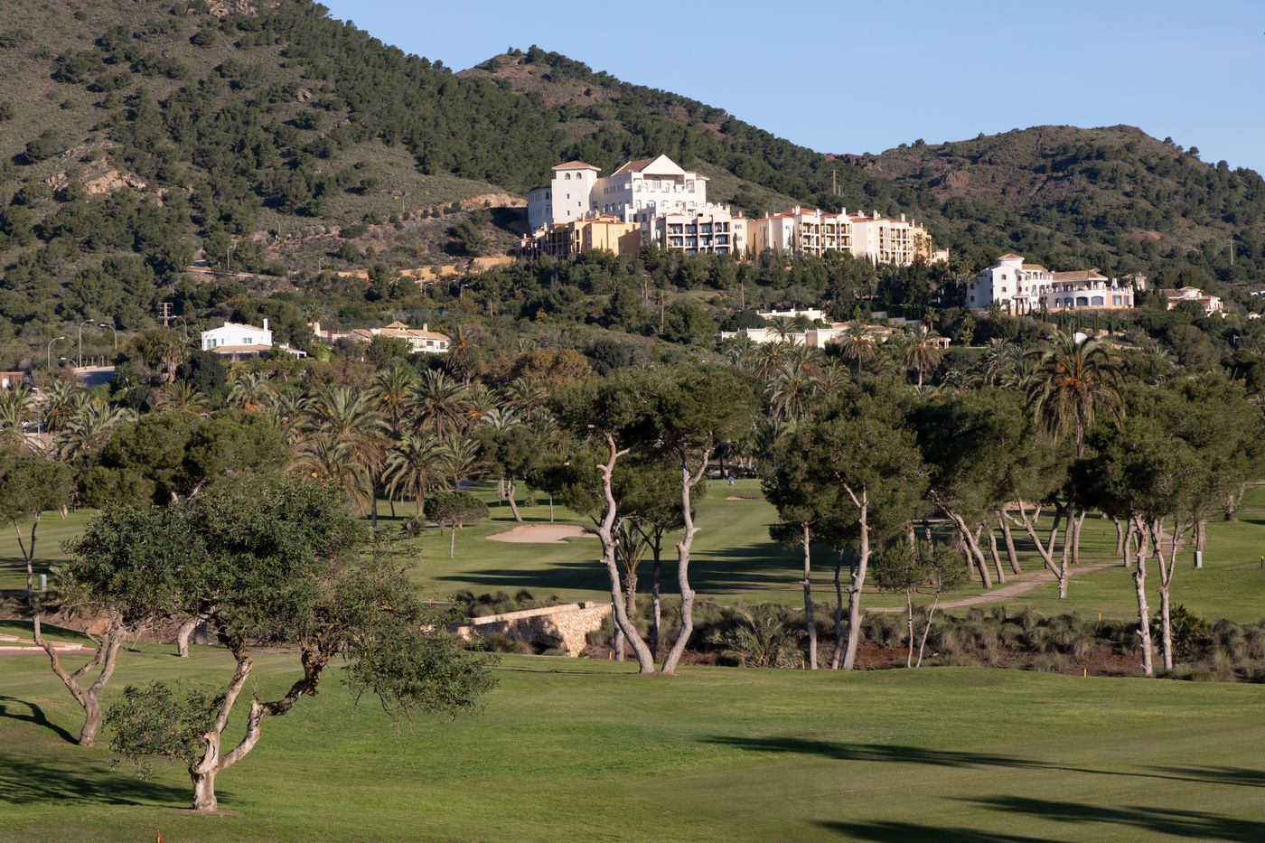 Ona Lomas Village Manga Club