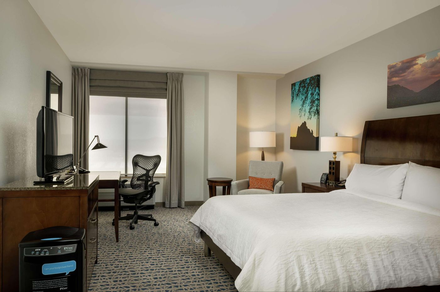 Hilton Garden Inn Phoenix Airport North-United States-PHOENIX-Room-10