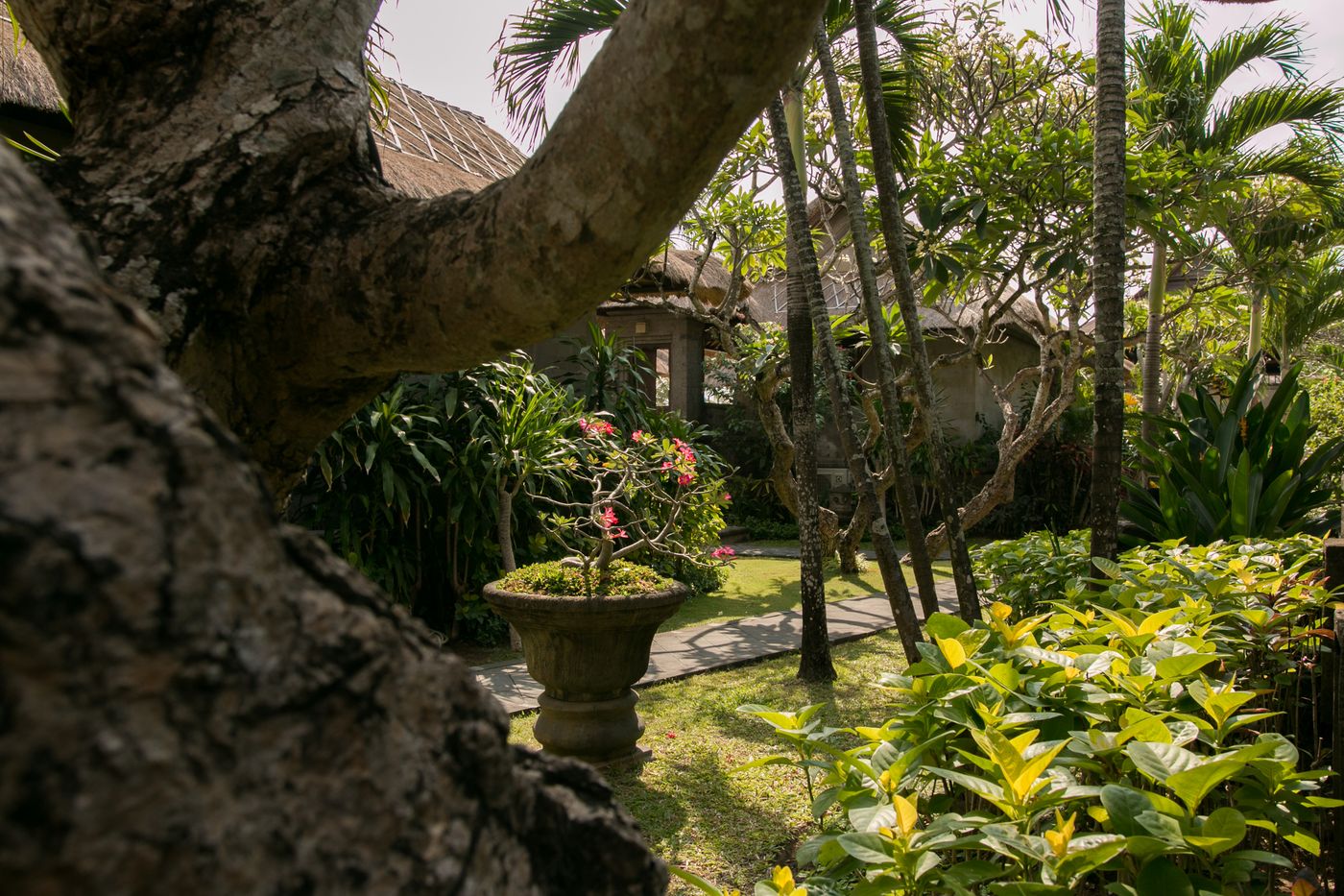 Balisani Suites Hotel-Indonesia-SEMINYAK-General view-9