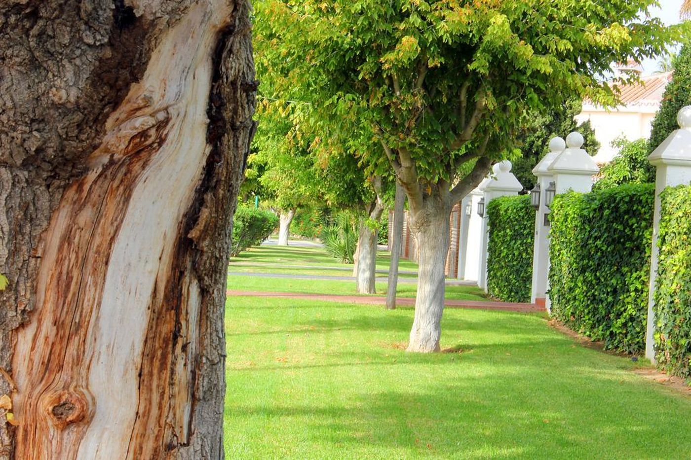 Malaga-Picasso-General-view-8