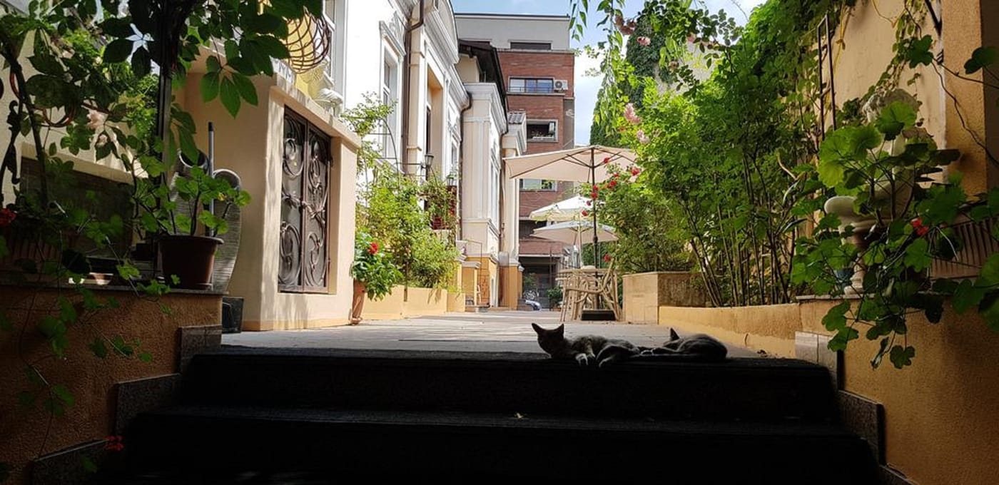 Michelangelo - Romania - BUCHAREST CITY - General view - 2