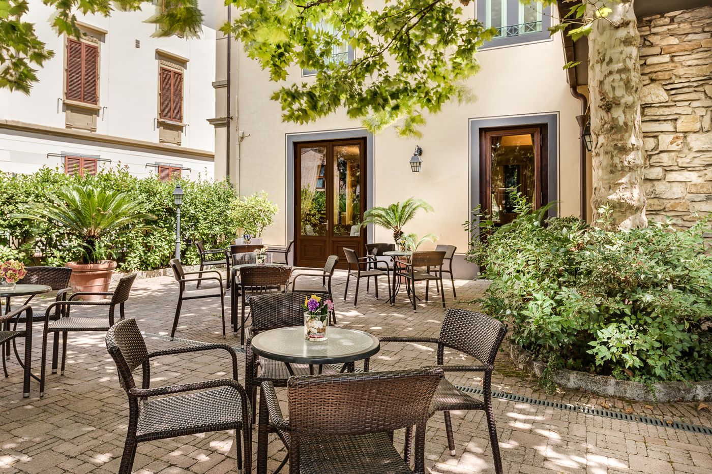 Da-Vinci-General-view-4