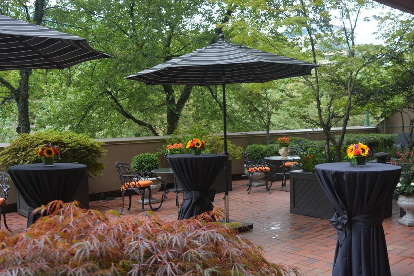 Wedgewood-Hotel---Spa-General-view-43