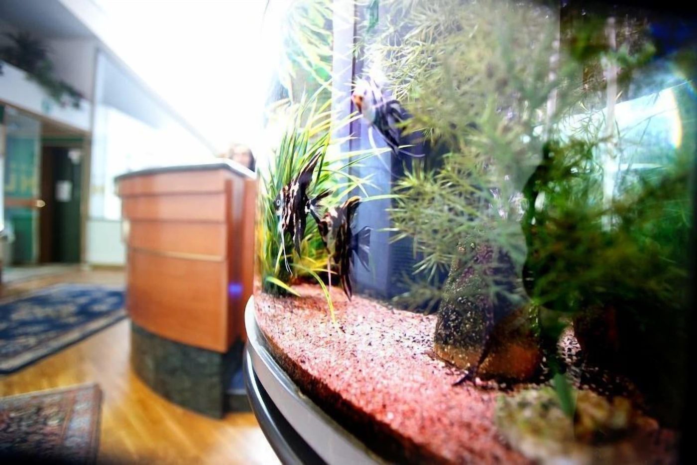 Hotel Leonardo-Italy-Brescia-General view-9