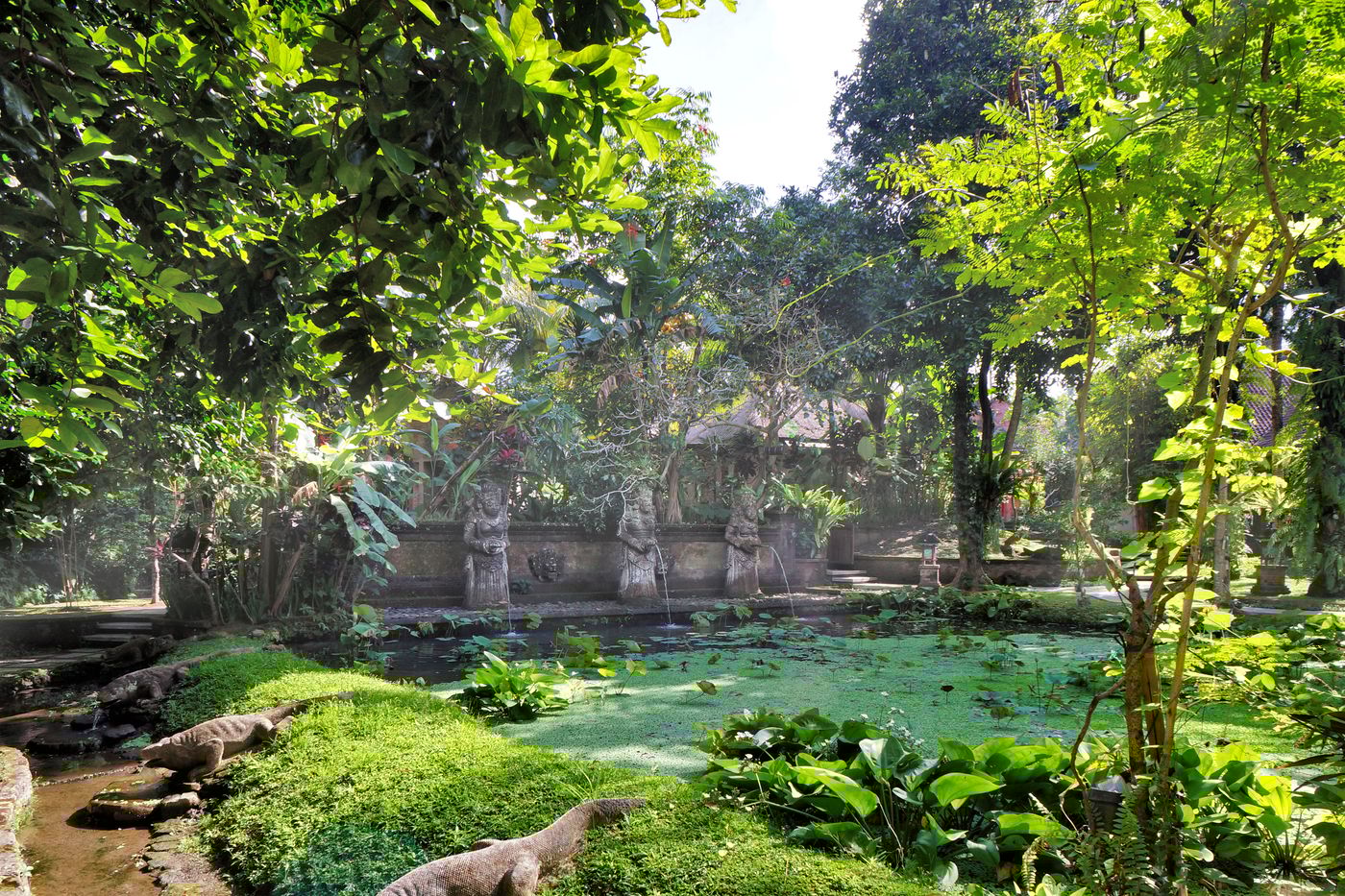Arma Museum and Resort-Indonesia-UBUD-General view-5