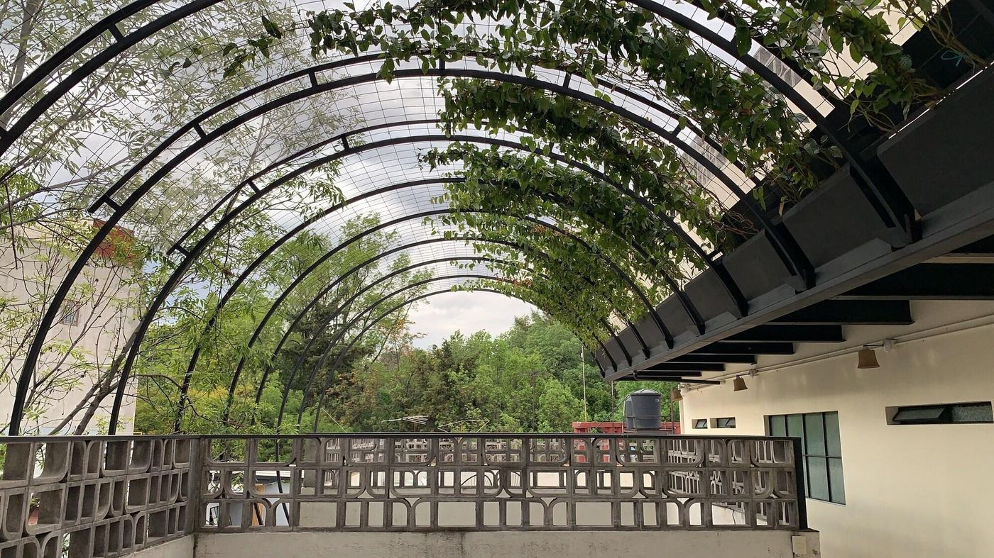 Izta 54 - Hostel-Mexico-MEXICO CITY-General view-1