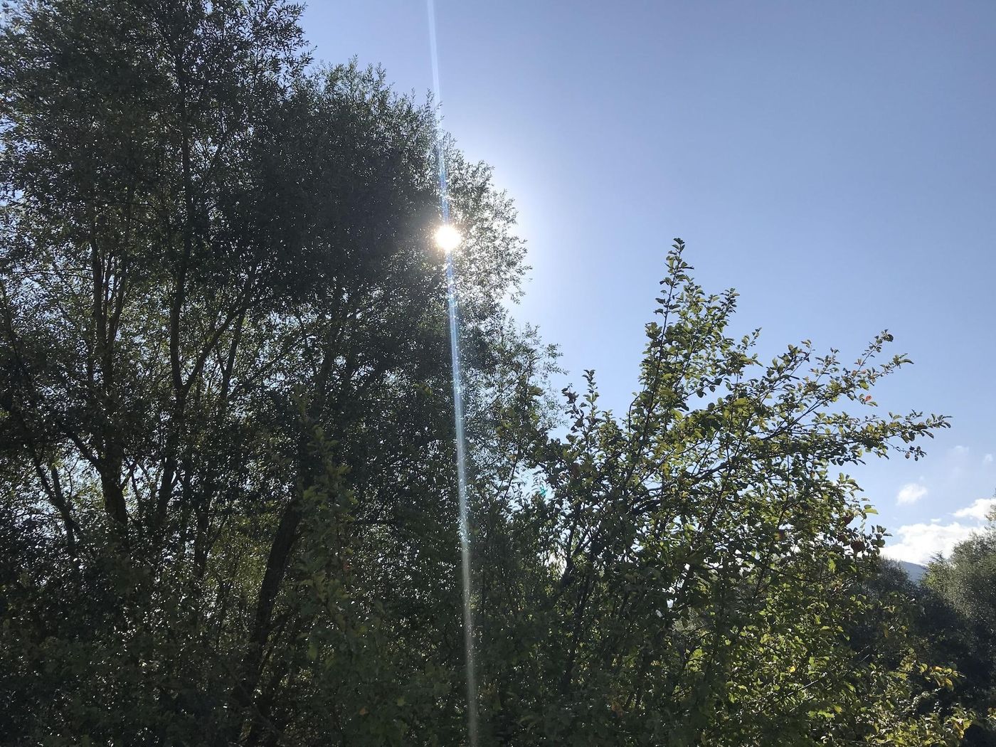 Oasi-Del-Vetoio-General-view-30