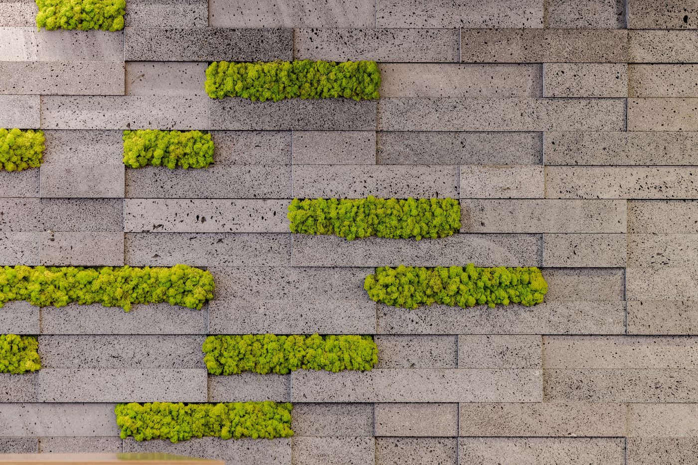 Neat-Hotel-Avenida-Bar-2