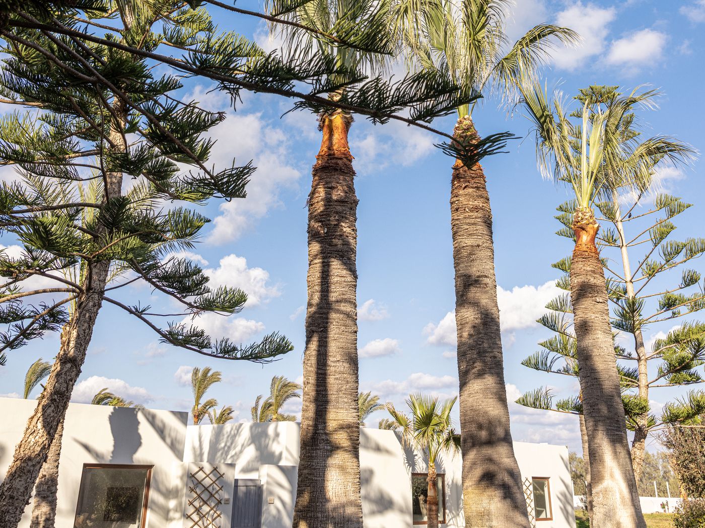 Amirandes--Grecotel-Exclusive-Resort-Room-14