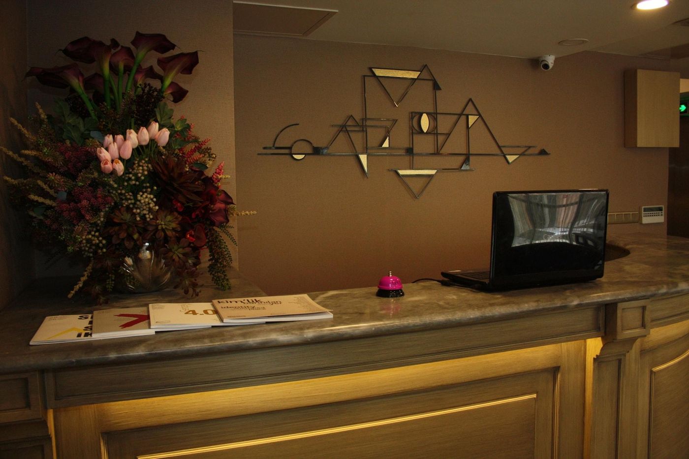 Endless Comfort Hotel-Turkey-ISTANBUL-Lobby-9