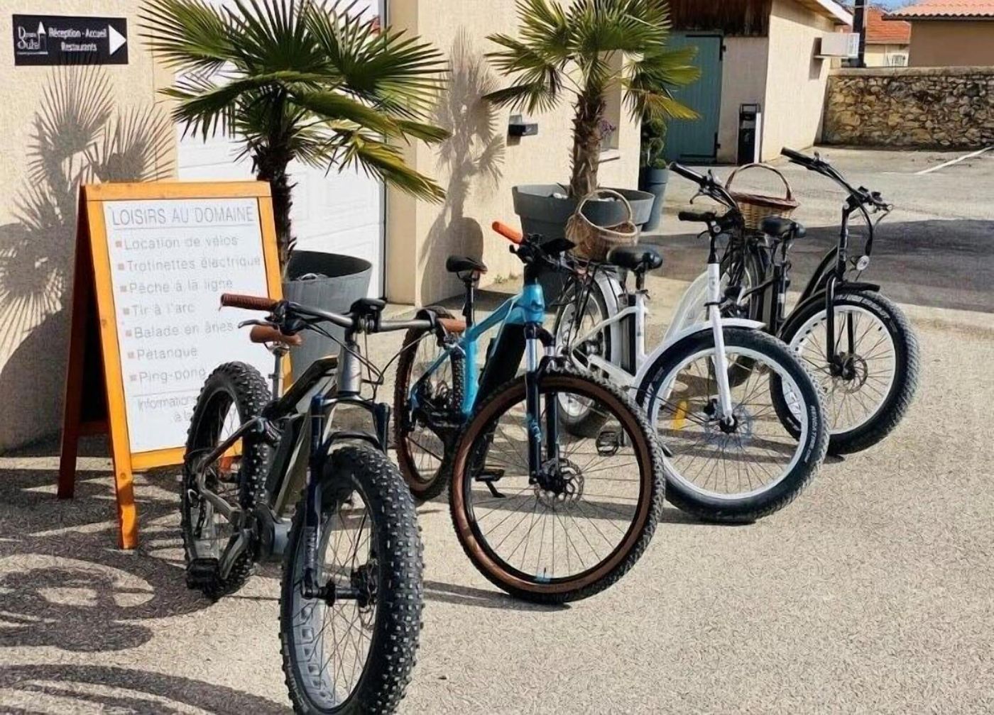 Domaine de Suzel - France - Vignieu - Sports and Entertainment - 7