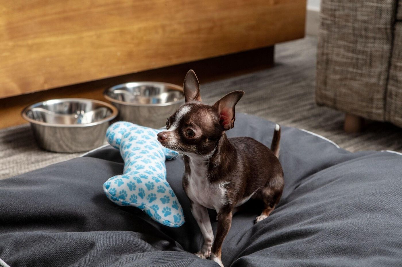 Element Orlando International Drive-United States-Orlando-General view-9