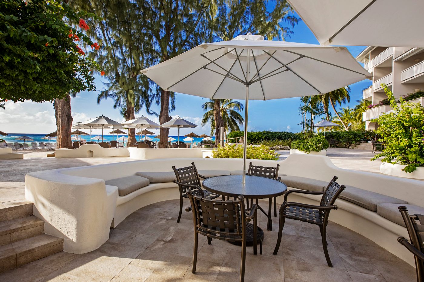 Bougainvillea Barbados
