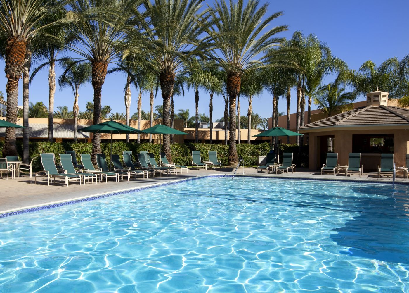 Sheraton-Park-Hotel-at-the-Anaheim-Resort-Pool-74