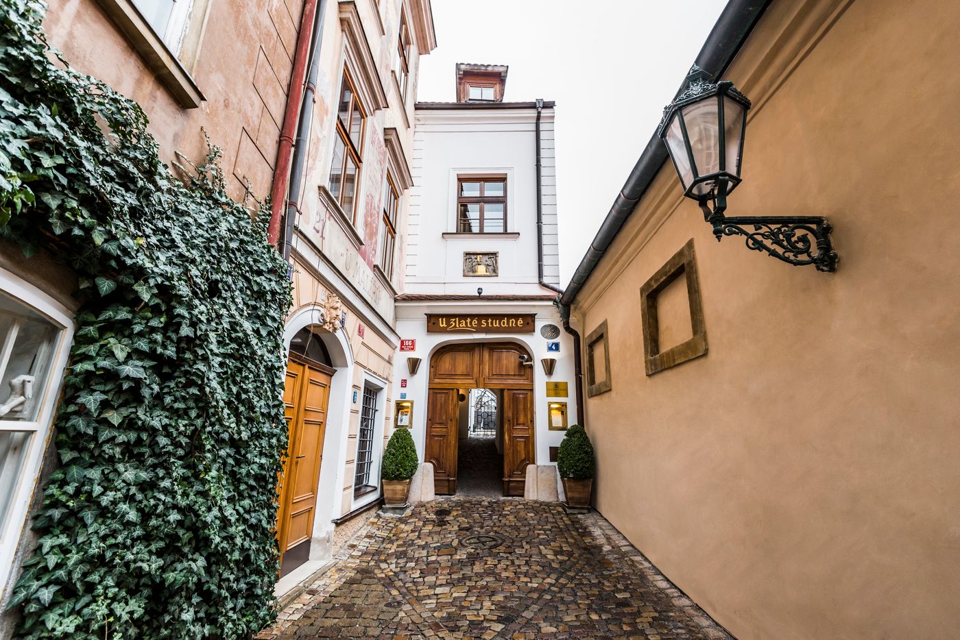 Golden-Well-General-view-1