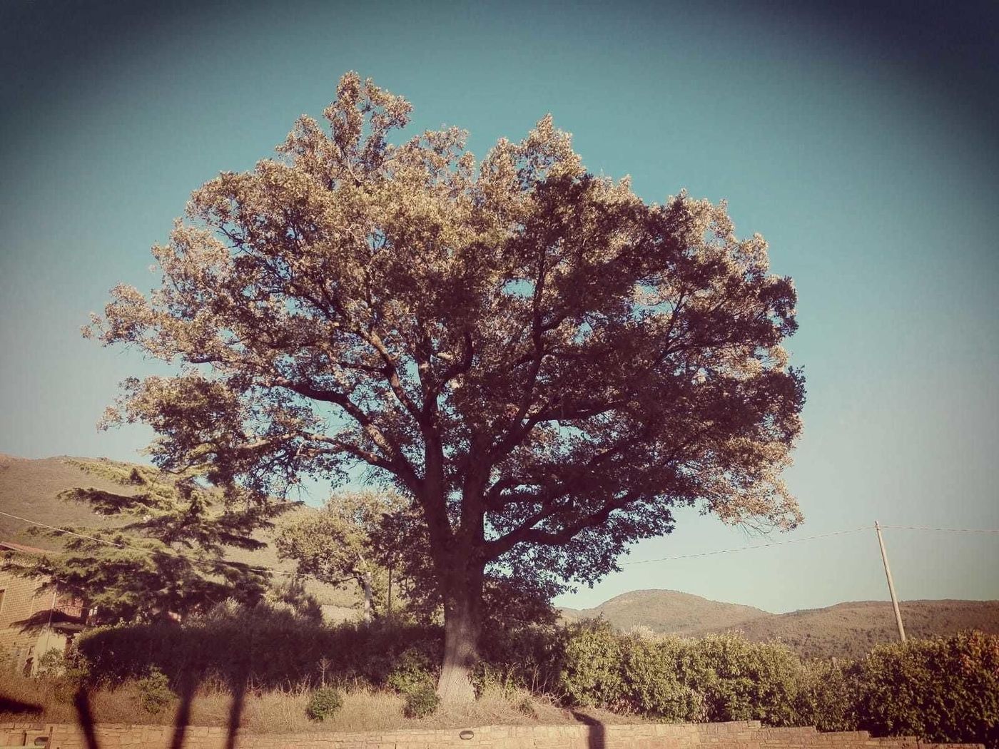 Le Querce Di Mamre-Italy-ASSISI-General view-2