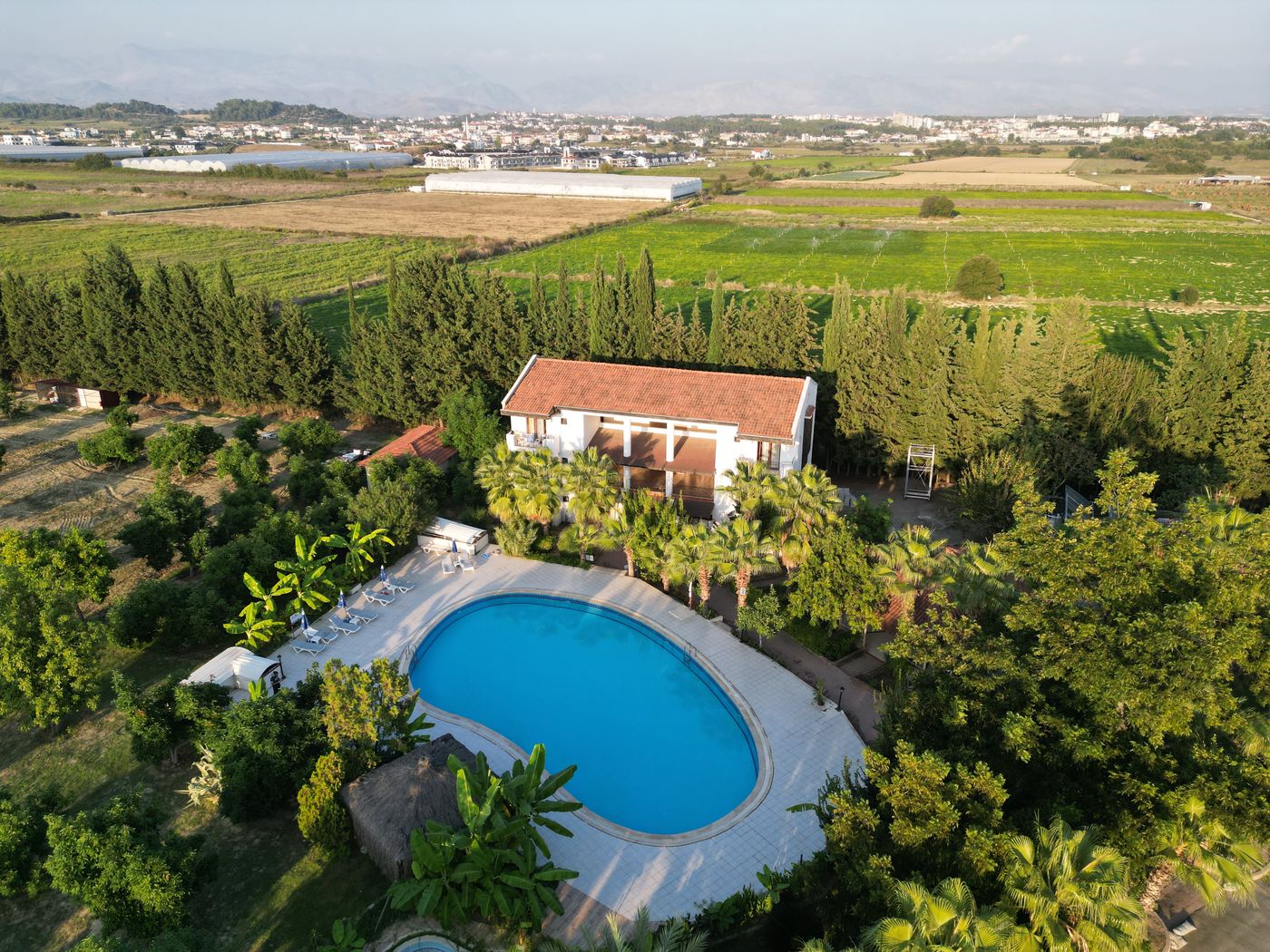 Lemas Suites Hotel Side