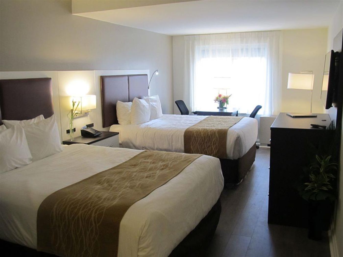 The Saint James Hotel an Ascend Hotel Collection M-Canada-Toronto-General view-4