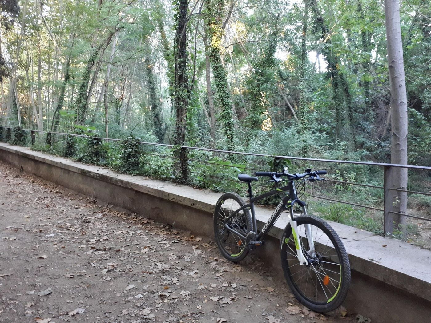 La-Sala-De-Camos-Sports-and-Entertainment-54